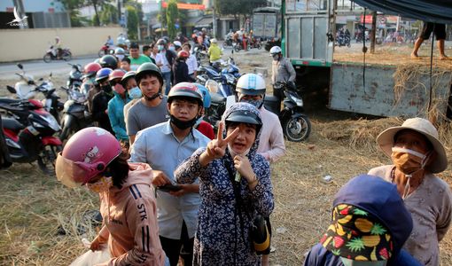Người Sài Gòn xếp hàng ‘giải cứu’ dưa hấu, có người mua cả tấn làm từ thiện