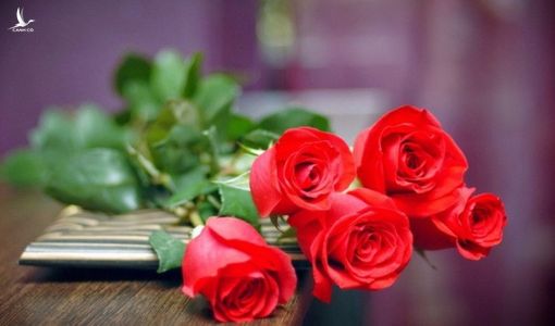 Những lời chúc ý nghĩa dành tặng người phụ nữ bạn yêu thương ngày 8/3