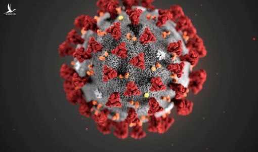 Virus Corona chủng mới có thể âm thầm lây nhiễm suốt nhiều năm qua