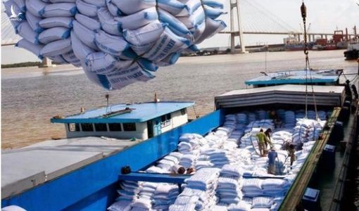 Bộ Công Thương lại đề xuất tiếp tục cho xuất khẩu gạo