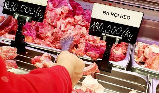 Giá heo hơi trong nước vẫn cao chót vót dù thịt nhập khẩu rất rẻ