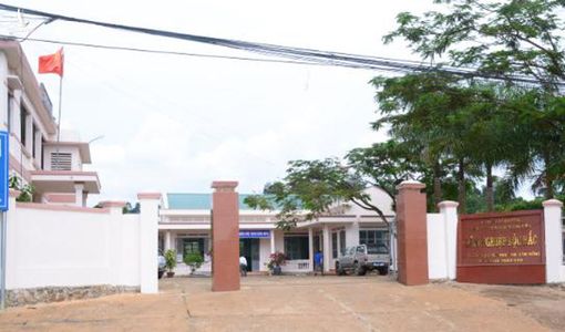 Khởi tố nguyên Giám đốc sở NN-PTNT Lâm Đồng cấp phép khai thác rừng trái luật