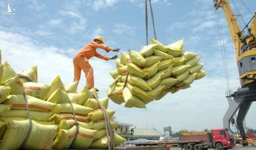 Tổng cục Hải quan lên tiếng việc bán tờ khai xuất khẩu gạo lúc nửa đêm