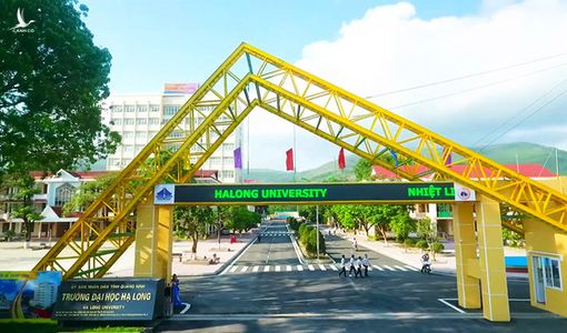 Chủ tịch tỉnh kiêm hiệu trưởng đại học: tỉnh nói ‘đúng quy định’, chuyên gia ‘buồn cười’