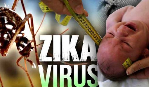 Đà Nẵng: Phát hiện một bệnh nhân nhiễm Zika gây bệnh đầu nhỏ