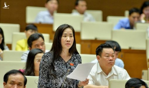 Nữ ĐBQH được phê chuẩn giữ chức Phó Chủ nhiệm Ủy ban Kinh tế của QH