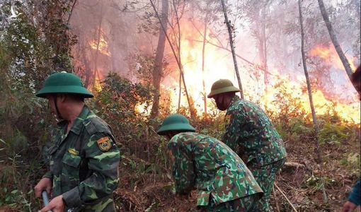 Hàng trăm người căng mình chữa cháy rừng ở Nghệ An