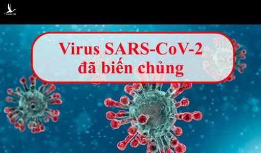 Biến chủng của virus Sars-Cov-2 ở Đà Nẵng có bất thường không?