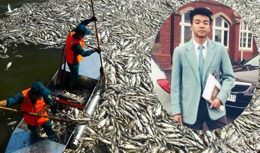 Ông Nguyễn Đức Hạnh liên quan gì đến doanh nghiệp khiến TGĐ Công ty Thoát nước HN bị khởi tố? 