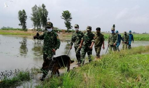 Biên phòng An Giang căng mình chống dịch tuyến đầu biên giới