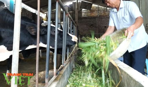 Ông Bí thư “2 giỏi” khiến cả làng phải nể phục