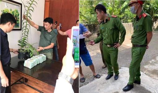 Bắt 11 đối tượng bán “Lan đột biến” lừa đảo chiếm đoạt tài sản