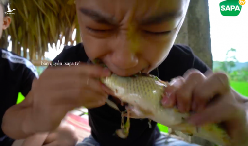 Kinh hãi nhóm thanh niên ăn sống cá to bằng bắp chân