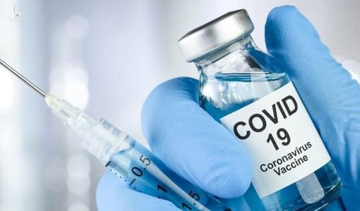 Virus corona có thể ngừng đột biến sau khi trở nên dễ lây hơn