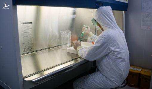 Viện Pasteur Nha Trang không nhận mẫu xét nghiệm nCoV