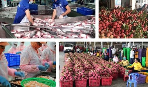 7 tháng năm 2020, Việt Nam xuất siêu 6,5 tỷ USD