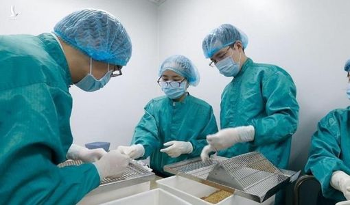 Việt Nam đặt mua vaccine Covid-19 của ba nước