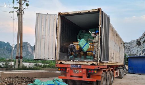 Tiêu hủy 24 tấn thịt lợn cùng một số bộ phận của lợn nhiễm dịch tả lợn châu Phi