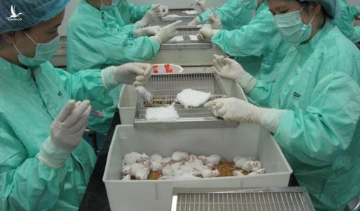 Việt Nam thử nghiệm vaccine Covid-19 trên người vào 2021