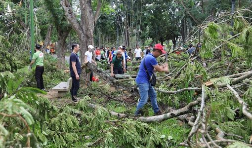 Người Huế thu dọn hơn 10.000 cây đổ