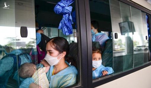 ‘Về được Việt Nam là phấn khởi lắm rồi’