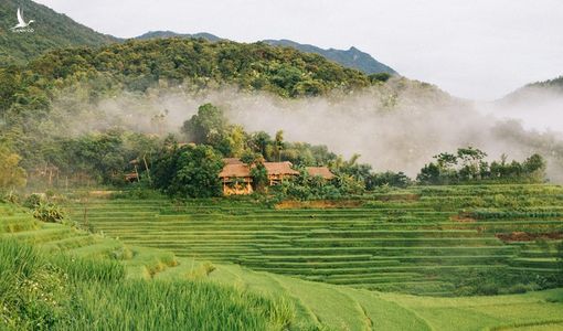 Tháng 9, đến Pù Luông ngắm lúa