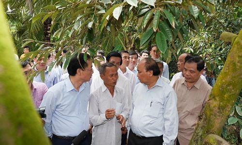 Nghĩ về giải pháp “thuận thiên”