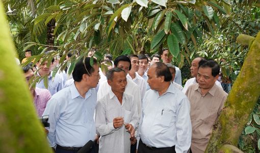 Thăm vườn sầu riêng lãi 1,1 tỷ đồng/năm, Thủ tướng động viên nông dân chiến thắng hạn, mặn