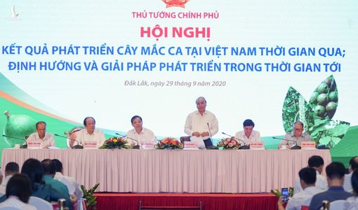 Thủ tướng Nguyễn Xuân Phúc nêu hàng loạt vấn đề về trồng và tiêu thụ mắc ca