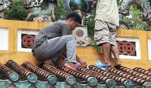 Khởi tố, bắt tạm giam kẻ trộm trái châu gần 100 tuổi của Lăng Ông Bà Chiểu