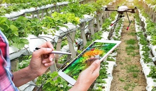 Từ bài viết của Tổng bí thư – Chủ tịch nước, nghĩ về thương hiệu Việt Nam