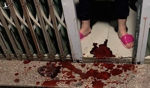 Truy tố người phụ nữ thuê 3 thiếu niên tạt sơn, ném mắm tôm vào quán cà phê