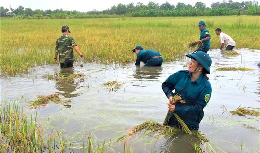 Tình nghĩa quân dân gắn bó như cá với nước