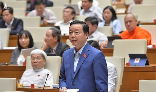 Bộ trưởng Trần Hồng Hà: Rừng còn quan trọng hơn cả trời