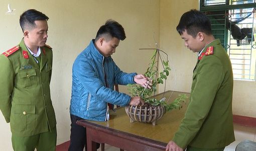 Bắt giam nhóm thanh niên làm lan phi điệp giả, lừa bán hơn 1 tỉ đồng