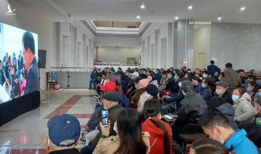 Những bi kịch gia đình vì bẫy lừa Liên Kết Việt