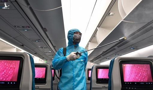 Vi phạm quy định cách ly, nam tiếp viên Vietnam Airlines đối diện án 12 năm tù