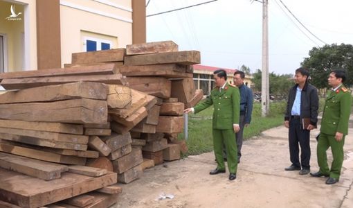 Dùng xe chở cát sạn làm ‘vỏ bọc’, đường dây phá rừng quy mô lớn vẫn bị chặn đứng