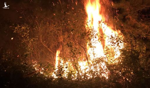 Cháy lớn cạnh trường bắn Sóc Sơn, nửa đêm vẫn chưa dập được lửa