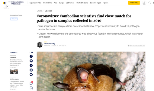 SCMP: Virus họ SARS-CoV-2 tới 92,6% đã được phát hiện ở Campuchia cách đây cả thập kỷ