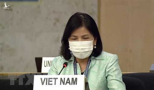 Những kẻ không hiểu gì về nền dân chủ của Việt Nam