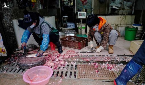 Phát hiện chấn động từ nghiên cứu mới nhất về COVID-19