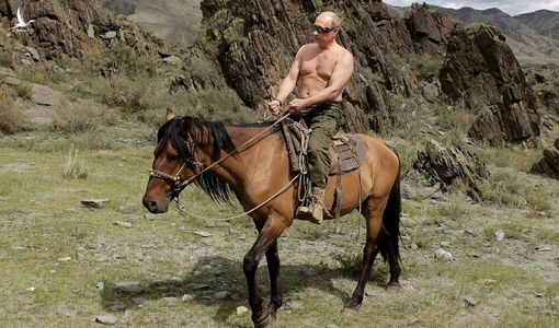 Tổng thống Putin kể về biến cố “ngã ngựa”