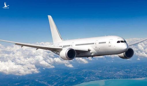 Bay chui sang Hàn Quốc: Không có quy trình thẩm định doanh nghiệp tháp tùng lãnh đạo?