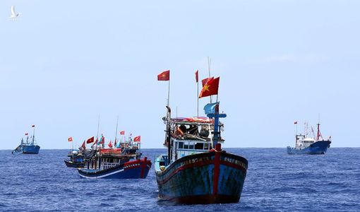 Biển Đông 6/5: Hội Nghề cá Việt Nam gửi công văn phản đối Trung Quốc đơn phương cấm đánh bắt cá trên Biển Đông