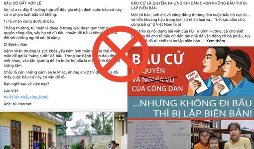 Những kẻ cay cú vì không thể phá hoại bầu cử