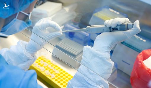 Hy vọng mới từ vắc xin Covid-19 dạng viên uống