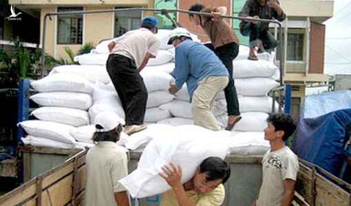 Thủ tướng ký quyết định hỗ trợ gạo cho người dân 3 tỉnh gặp khó khăn do dịch Covid-19