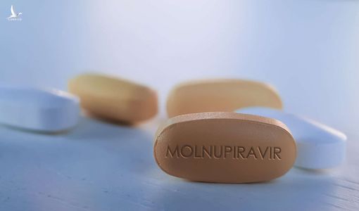 Từ 25/8, TP.HCM phát thuốc Molnupiravir cho F0 điều trị tại nhà