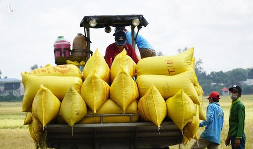 ‘Liên kết sẽ giúp nông dân giảm thiệt hại trong hoàn cảnh bất thường’